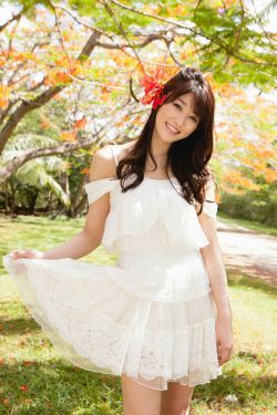 苹果全集